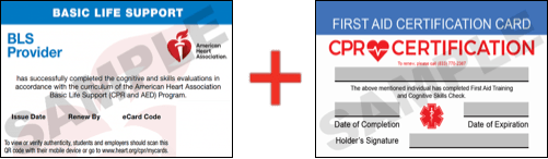 Sample American Heart Association AHA BLS CPR Card Certificaiton and First Aid Certification Card from CPR Certification Colorado Springs