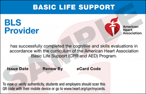 Sample American Heart Association AHA BLS CPR Card Certification from CPR Certification Colorado Springs
