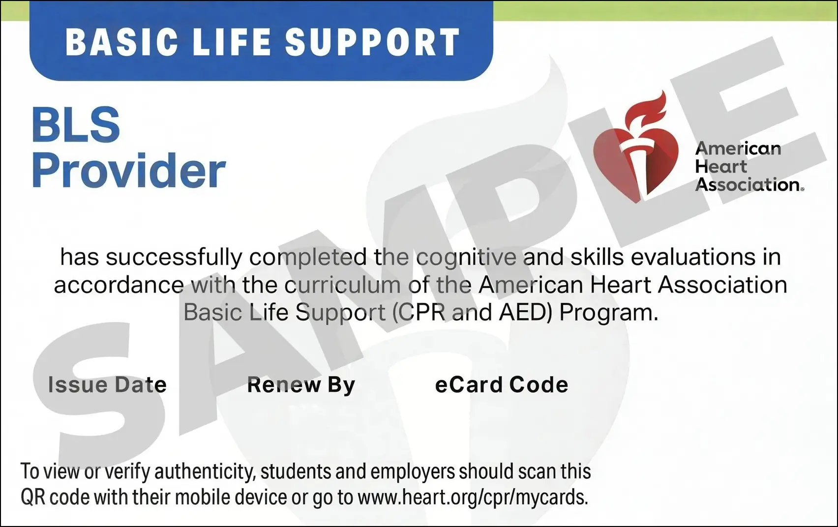 Sample American Heart Association AHA BLS CPR Card Certification from CPR Certification Colorado Springs